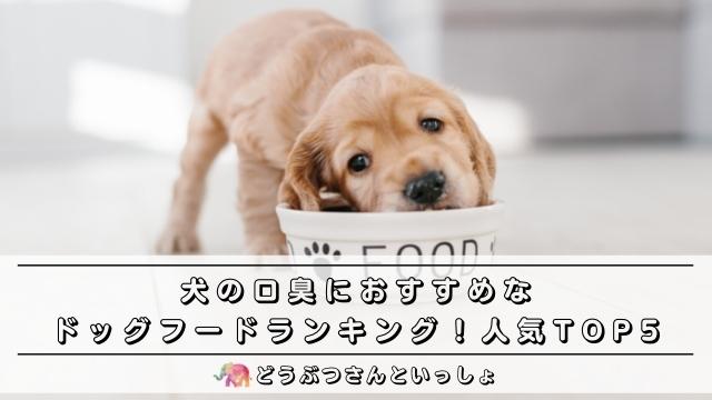 犬の口臭におすすめなドッグフードランキング 人気top5