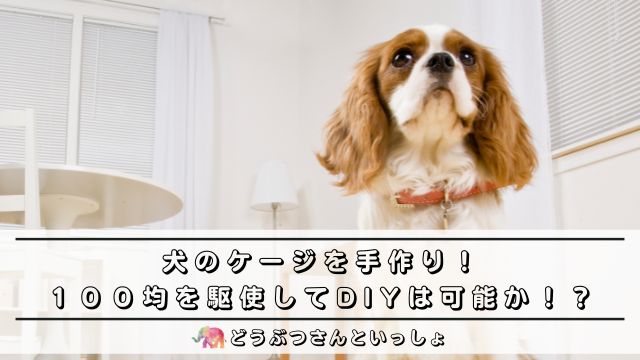 犬のケージを手作り １００均を駆使してdiyは可能か