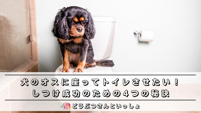 犬のオスに座って犬のオスが座ってトイレトイレ